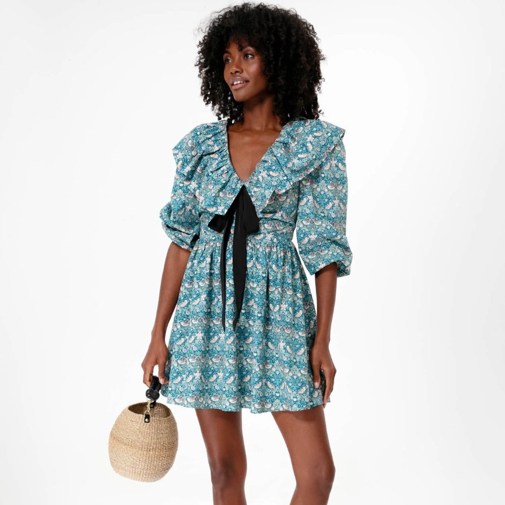 Ruffle Collar Birdsong Mini Dress